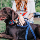 The Best Good Girl Pet Tag