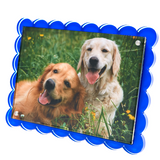 Tara Wilson Acrylic Scallop Frame - 4x6 or 5x7