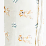 Sleeping Bag / Nap Mat