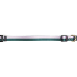 Stripe Dog Collar