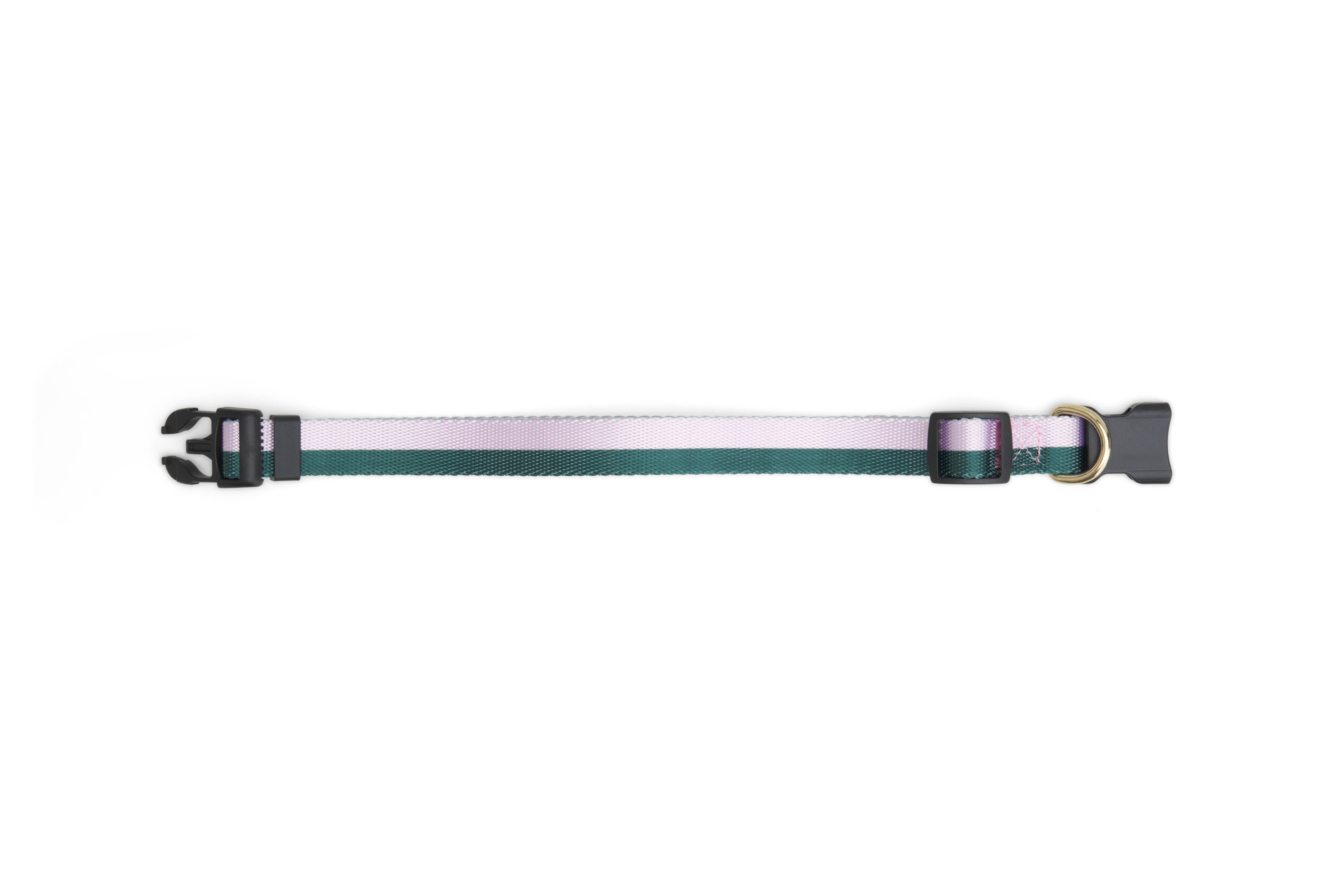 Stripe Dog Collar