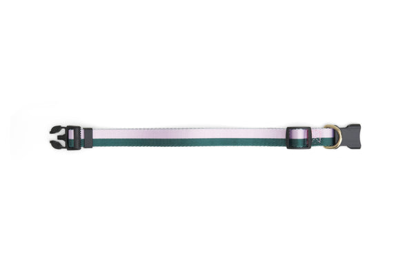 Stripe Dog Collar