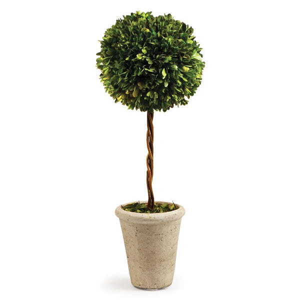 BOXWOOD SINGLE SPHERE TOPIARY 23.25
