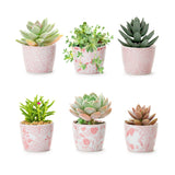 Pink Chinoiserie Canton Cachepot