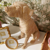 Basket Weave Pattern Sitting Dog