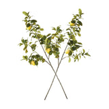 Lemon Faux Branches, Set of 2