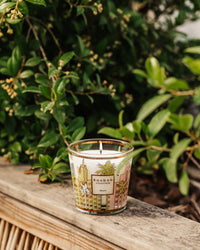 SCENTED CANDLE MY FIRST BAOBAB MIAMI