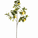 Lemon Faux Branches, Set of 2