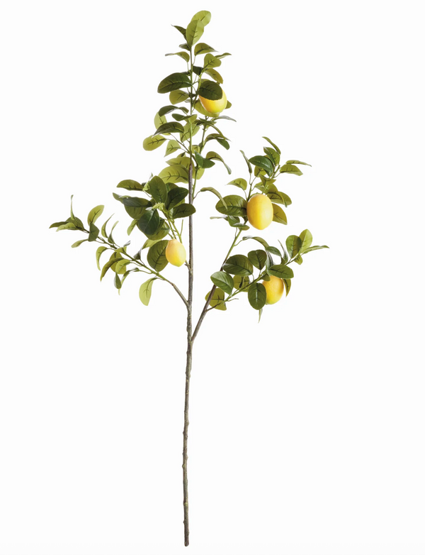 Lemon Faux Branches, Set of 2