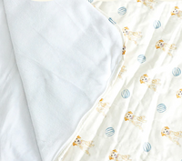 Sleeping Bag / Nap Mat