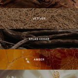 Signature - Luxury Reed Diffuser - Home Decor & Gifts