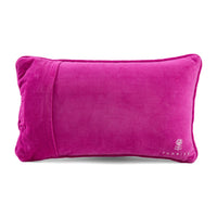 Sweata Weatha Needlepoint Pillow
