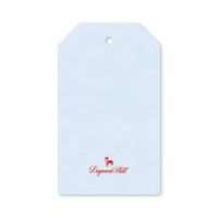 Snowglobe Ski Scene Gift Tags