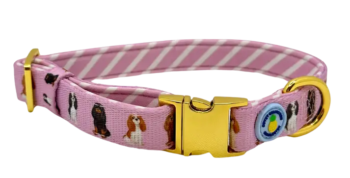 Cavalier Dog Collar - Pink