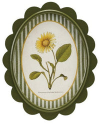 Oval MDF Framed Glass Scalloped Wall Decor with Flower & Striped Mat