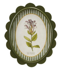 Oval MDF Framed Glass Scalloped Wall Decor with Flower & Striped Mat