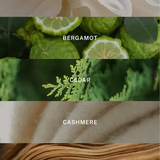 Miami Reed Diffuser